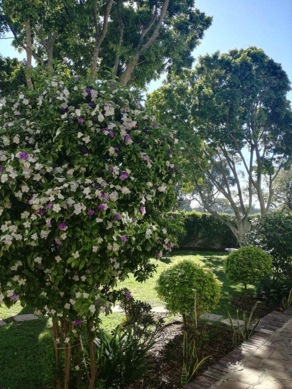 Chaston Manor Hotel Cape Town Exterior photo